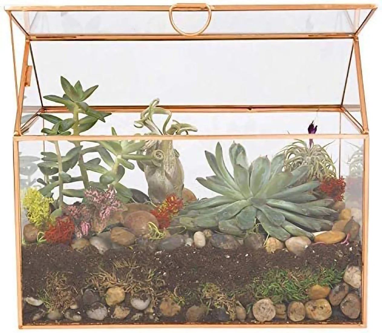 Glass House Plant Terrarium (10"X6"X8") - Tabletop Gold Geometric Planter Terrarium for Succulents, Air Plants, Moss - Home, Garden, Wedding & Office Decor- Gift for Plant Lovers & Mother'S Day